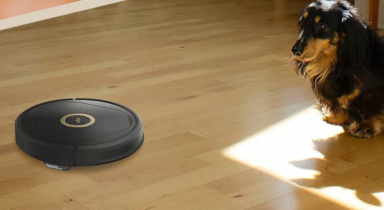 Why TRIFO Robot Vacuum(LUCY-P) Is The Best Robot Vacuum?